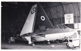 Photo Originale - Aviation - Militaria - Avion Hawker Sea Hawk FGA 6 - ROYAL NAVY - Aviation