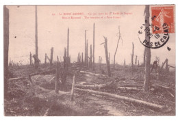 BELGIQUE -LE MONT KEMMEL - Ce Qui Reste De La Forêt De Sapins  - Otros & Sin Clasificación