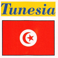 Flag Chromo - Tunesia - 5 X 5 Cm - Other & Unclassified