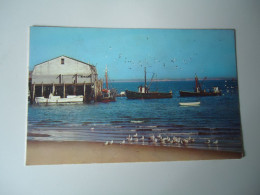 UNITED STATES POSTCARDS   CAPE COD MASS BOATS BIRDS    FOR MORE PURCHASES 10% DISCOUNT - Autres & Non Classés