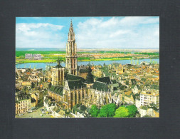 ANTWERPEN - PANORAMA  KATHEDRAAL   (13.312) - Antwerpen