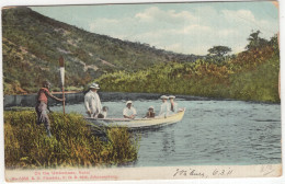 On The Umkomaas, Natal - (South-Africa) - 1911 - No. 5356 R.O. Füsslein, Johannesburg - Sud Africa