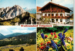 73855203 Troepolach An Der Gail Kaernten AT Gasthof Winkler Panorama Alpenflora  - Autres & Non Classés
