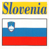 Flag Chromo - Slovenia - 5 X 5 Cm - Autres & Non Classés