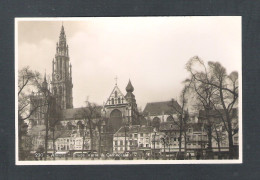 ANTWERPEN -  PLACE VERTE & CATHEDRALE   (13.344) - Antwerpen