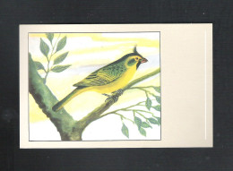 VOGEL - OISEAU - GROENE KARDINAAL - CARDINAL VERT - SLUIS N° 2  (13.369) - Birds