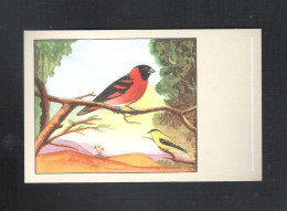 VOGEL - OISEAU - KAPUZENSIJSJE - TARIN ROUGE -  SLUIS N° 21  (13.372) - Oiseaux