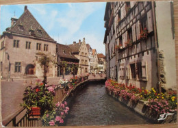 FRANCE ALSACE COLMAR HAUT RHIN QUARTIER DES TANNEURS POSTKAART POSTCARD CARTE POSTALE POSTKARTE CARTOLINA ANSICHTSKARTE - Pibrac