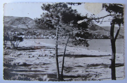 FRANCE - VAR - LE LAVANDOU - La Plage Vue De Gouron - 1959 - Le Lavandou