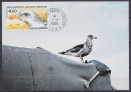 TAAF – Crozet –  Carte-maxi N°PA92 Oiseau Goéland Dominicain Oblit. Alfred Faure 1-1-1986 - Covers & Documents