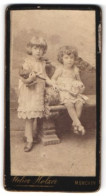 Fotografie Atelier Holzer, München, Die Töchter Von Emil Und Amalie Miyel Mit Ausgestopften Vögeln, 1892  - Personas Anónimos