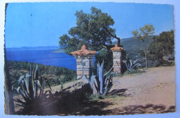 FRANCE - VAR - LE RAYOL - Vue Sur Le Cap Nègre - 1962 - Sonstige & Ohne Zuordnung