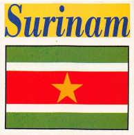 Flag Chromo - Surinam - 5 X 5 Cm - Autres & Non Classés