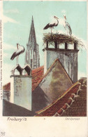 ALLEMAGNE - Freiburg I/B - Storchennest - Vue Sur Le Nid De Cigogne - Oiseaux - Carte Postale Ancienne - Freiburg I. Br.