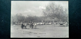 01 , Bourg , Le Champ De Foire Et Le Marché Aux Bestiaux En 1905 - Otros & Sin Clasificación