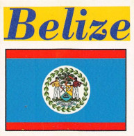 Flag Chromo -  Belize - 5 X 5 Cm - Other & Unclassified