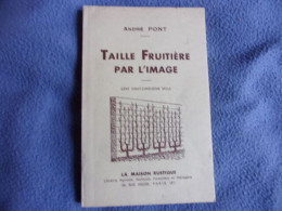 Taille Fruitière Par L'image - Wissenschaft