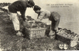 REPRO CARTE ANCIENNE - H11 - CHARENTE MARITIME - ILE D'OLERON - SAINT TROJAN - EMBALLAGE DES HUITRES - Ile D'Oléron