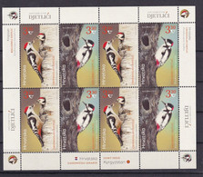 CROATIA 2021,FAUNA,BIRDS,JOIN EDITION,WOODPECKER,MIDDLE SPOT WOODPECKER,WHITE WINGED WOODPECKER,SHEET,MNH - Croacia