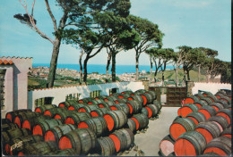 Cpsm 66 Côte Vermeille Banyuls Se Fameux Crus ... - Banyuls Sur Mer