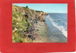 44-----LA BERNERIE---La Plage De Crève-Coeur--voir 2 Scans - La Bernerie-en-Retz