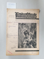 Naturschutz: Monatshefte Für Freunde Der Deutschen Heimat:  22. Jahrgang , Nr. 6 Juni 1941 : Mit Dem Amtliche - Autres & Non Classés