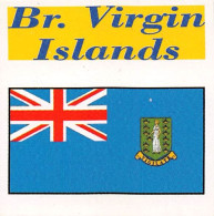 Flag Chromo -  British Virgin Islands- 5 X 5 Cm - Other & Unclassified