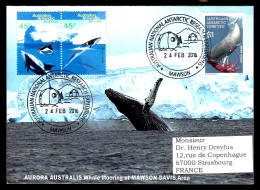 BALEINES - NAWSON - EXPÉDITION ANTARCTIC -  - Baleines