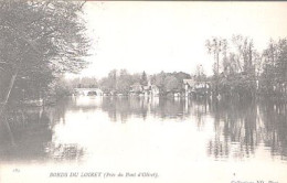 X10592 LOIRET PRES DU PONT D' OLIVET BORDS DU LOIRET - Autres & Non Classés