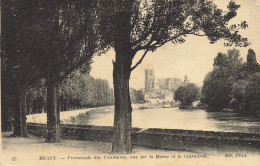 77 MEAUX PROMENADE DES TRINITAIRES VUE SUR LA MARNE ET LA CATHEDRALE - Meaux