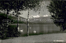 13712181 Thun BE Partie Am Thunersee Mit Eiger Moench Und Jungfrau Berner Alpen  - Autres & Non Classés