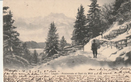 LEYSIN PROMENADE - Leysin