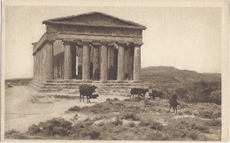 AGRIGENTO Tempio Della Concordia Animata! - Agrigento