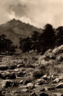 Le Mont Dore La Dordogne Au Pied Du Sancy - Otros & Sin Clasificación