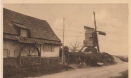 HAZEBROUCK  Moulin Des Flandres - Hazebrouck