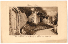 CPA 77 - CHATEAU LANDON (Seine Et Marne) - 215. Ruines De L'Abbaye Et Porte Du XVIIIe Siècle - Chateau Landon