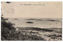 CPA 22 - TREBEURDEN (Côtes D'Armor) - 415. Le Bas Du Castel - A.B. - Trébeurden