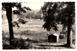 CPSM PF 77 - Environs D'ESBLY (Seine Et Marne) - Camp Des Campeurs De LESCHES - Ed. Sepap - TBE - Esbly