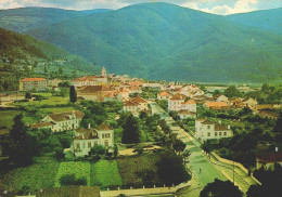 LOUSÃ, Coimbra - Vista Parcial Da Vila  ( 2 Scans ) - Coimbra