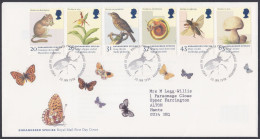 GB Great Britain 1998 FDC Endangered Species, Butterfly, Insects, Birds, Mushroom, Pictorial Postmark, First Day Cover - Brieven En Documenten
