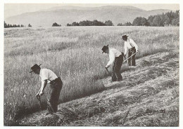 CPSM / CPM 10.5 X 15 Photographe JOËL COUCHOURON Les Vosges Trois Bons Faucheurs 1978  "trô Bons Soyous" - Autres & Non Classés