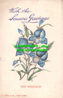 R516047 With The Seasons Greetings. Disa Herschelia. J. C. Juta. 1906 - Mondo