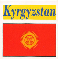 Flag Chromo -  Kyrgyzstan - 5 X 5 Cm - Other & Unclassified