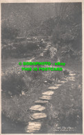 R516373 The Steps In Dove Cottage Garden. G. P. Abraham - World