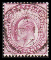 1903-1905. CEYLON. Edward VII. FIVE CENTS.  (MICHEL 134) - JF545339 - Ceilán (...-1947)