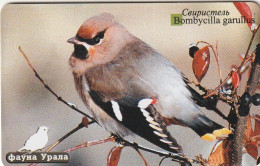 PHONE CARD RUSSIA Uralsvyazinform - Ekaterinburg (E100.2.8 - Rusia