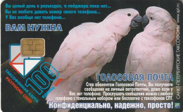 PHONE CARD RUSSIA Sankt Petersburg Taxophones (E111.17.6 - Russie