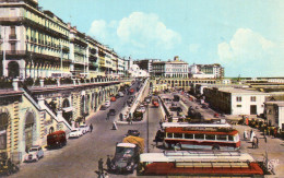 (Algerie) ALGER Les Rampes Boulevard De La République  Vers Les Mosquées Autobus Autocar Camion Bus Car  1960 - Alger