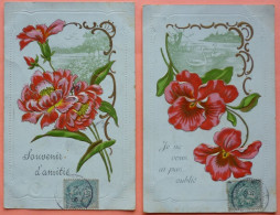 LOT DE 2 CARTES GAUFREES FLEURS - SCANS RECTO VERSO-16 - Altri & Non Classificati