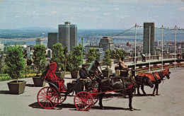 CANADA - Montréal - P Q - Canada - Des Calèches Sur Le Mont Royal - Animé - Carte Postale Ancienne - Montreal